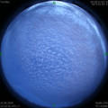 1592844864.jpg