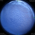 1592844924.jpg
