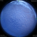 1592845044.jpg
