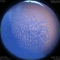 1592847130.jpg