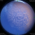 1592847250.jpg