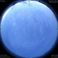 1592854184.jpg