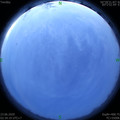 1592854499.jpg
