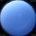 1592857486.jpg