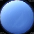 1592857921.jpg