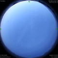 1592858116.jpg