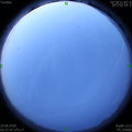 1592858296.jpg