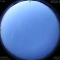 1592858431.jpg