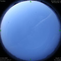 1592858851.jpg