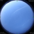 1592859091.jpg