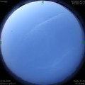 1592859166.jpg