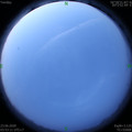 1592859226.jpg