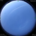 1592859286.jpg
