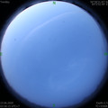 1592859406.jpg