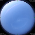 1592859586.jpg