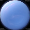 1592859706.jpg
