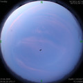 1592860007.jpg