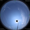 1592895890.jpg