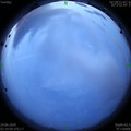 1592943583.jpg