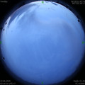 1592944033.jpg