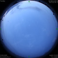 1592944528.jpg