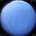 1592944904.jpg