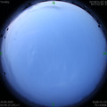 1592945084.jpg