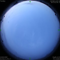 1592945204.jpg