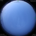 1592945279.jpg