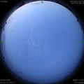 1592945579.jpg