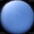 1592946134.jpg