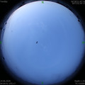 1592946314.jpg
