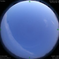 1593020916.jpg