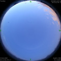 1593026004.jpg