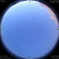 1593026184.jpg