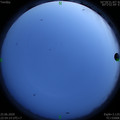 1593100485.jpg