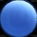1593104342.jpg