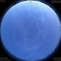 1593107539.jpg