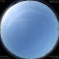 1593123266.jpg