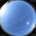 1593127183.jpg