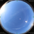 1593127574.jpg
