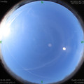 1593130695.jpg