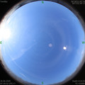 1593131475.jpg