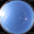 1593131881.jpg