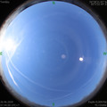 1593132271.jpg