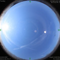 1593133441.jpg