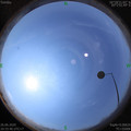 1593142461.jpg