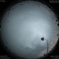 1593161370.jpg
