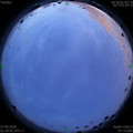 1593197748.jpg