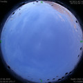 1593198093.jpg